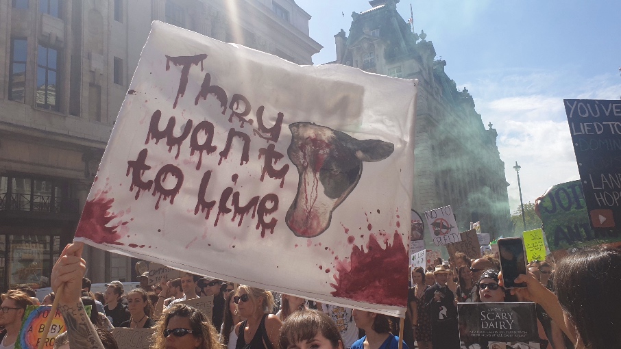 Record-Breaking 12,000 Activists Attend London Animal Rights March