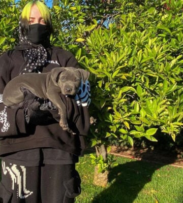 Billie Eilish adopted her foster puppy earlier this year