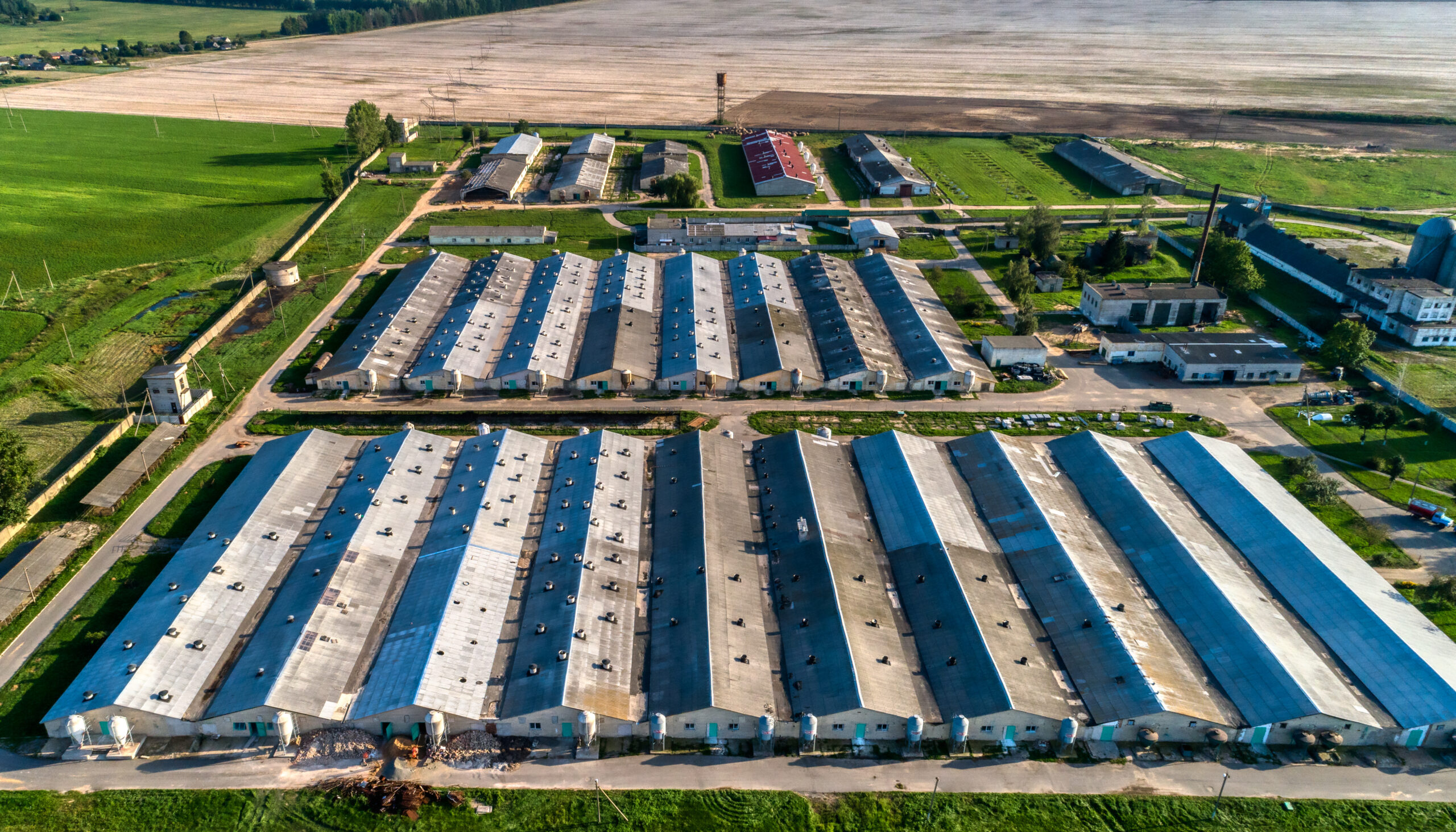 Factory farming