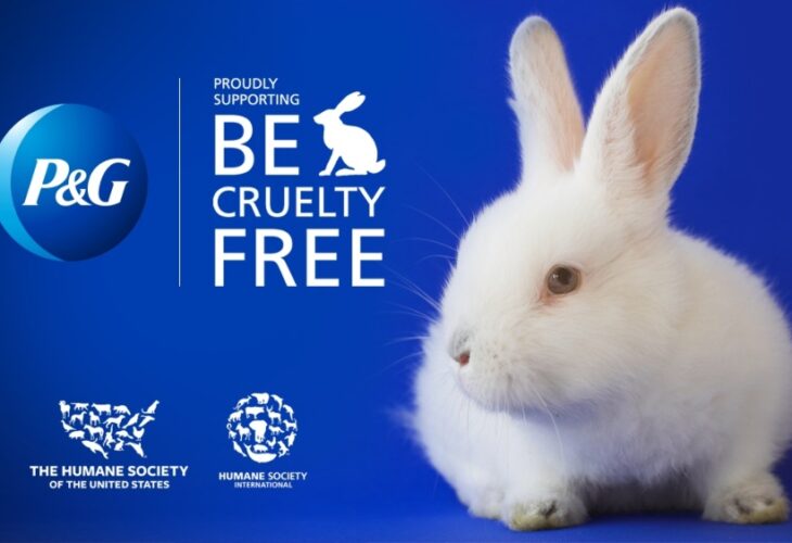 Procter & Gamble Joins Major Campaign To End Global Animal Testing By 2023