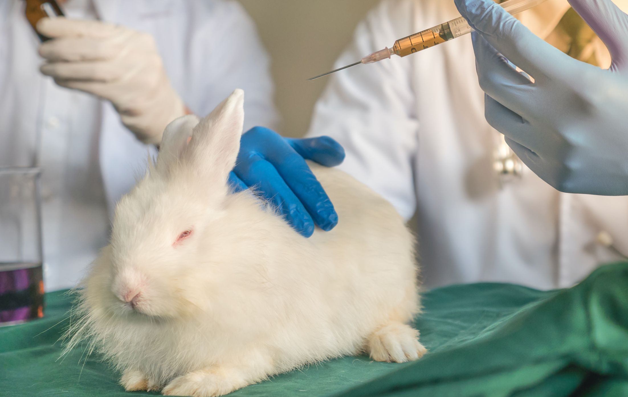 The End Of Animal Testing Is In Sight,' Says Cosmetics Expert