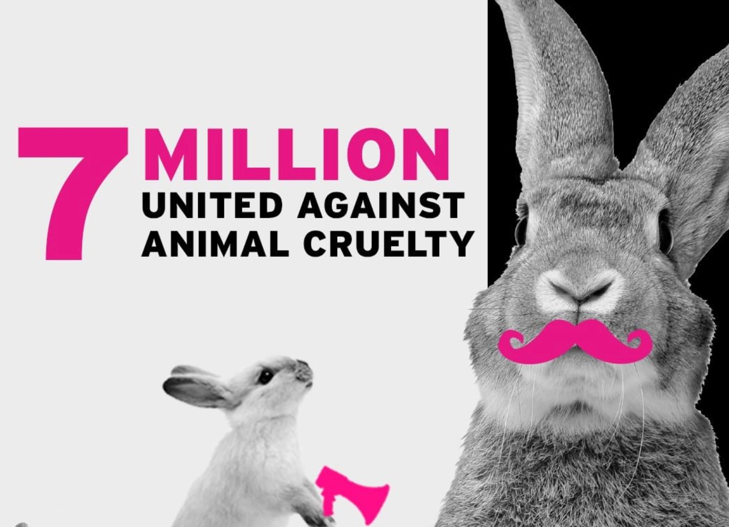 More than 7 Million People Sign Petition To Ban Global Animal Testing For  Cosmetics