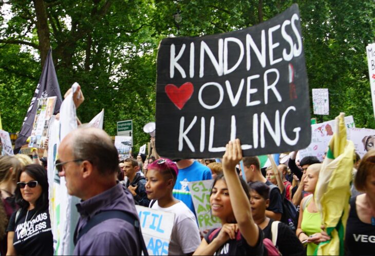 IN PICTURES: 5,000 Vegans March London's Streets For Animal Rights