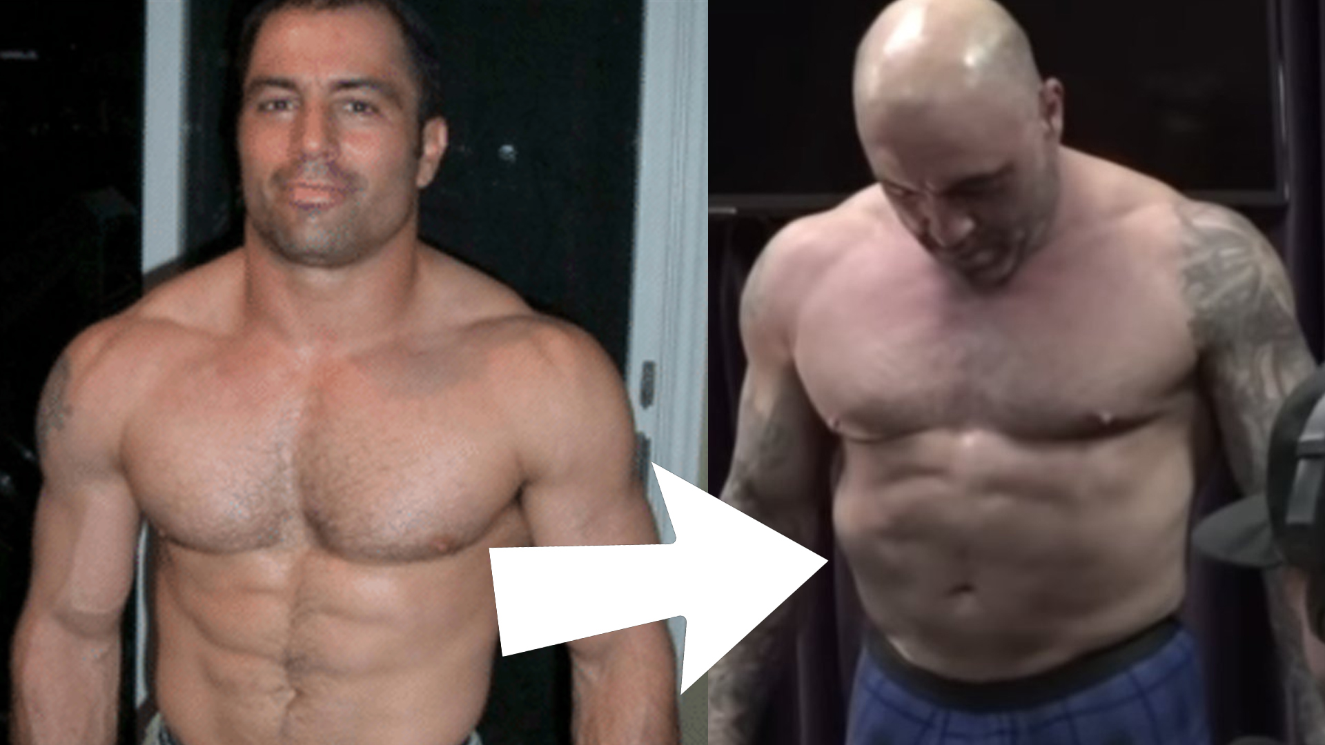 Joe rogan bulge