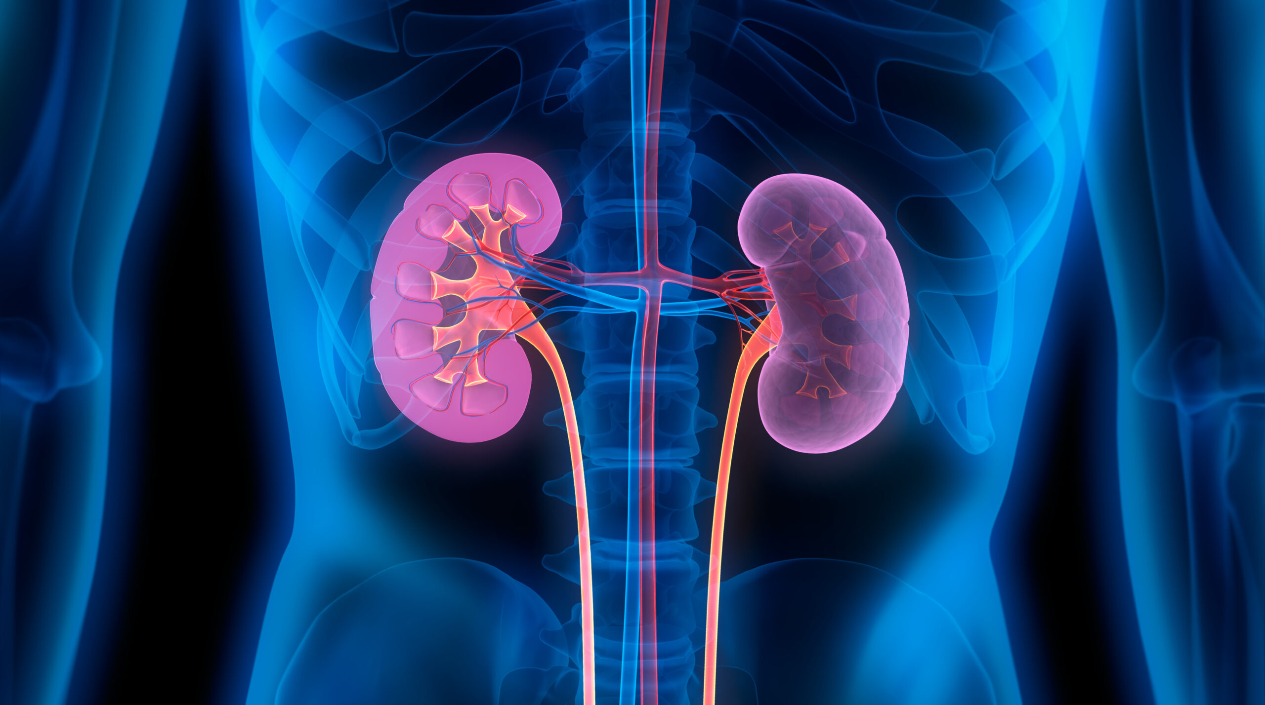 world-kidney-day-2020-plant-based-diets-offer-hope-for-prevention-and