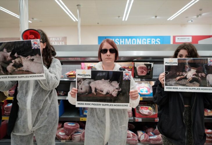 Activists Occupy Supermarket To Demand 'Total Animal Liberation'