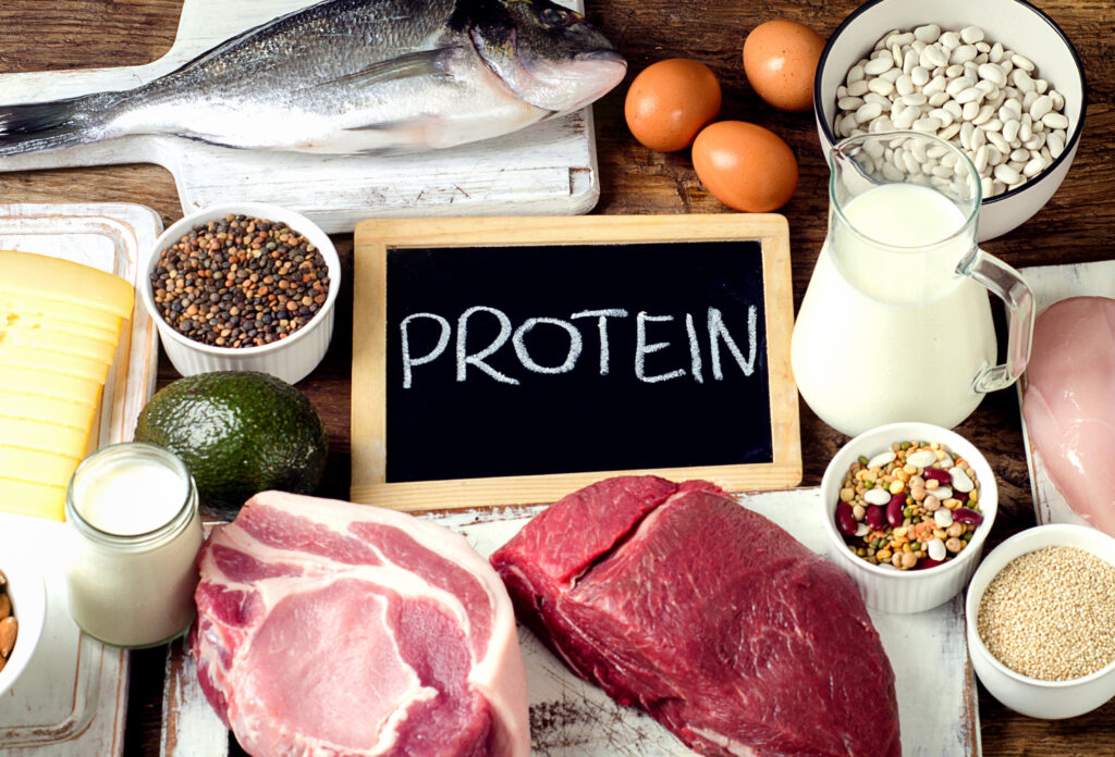 Which animal source of protein is the healthiest?