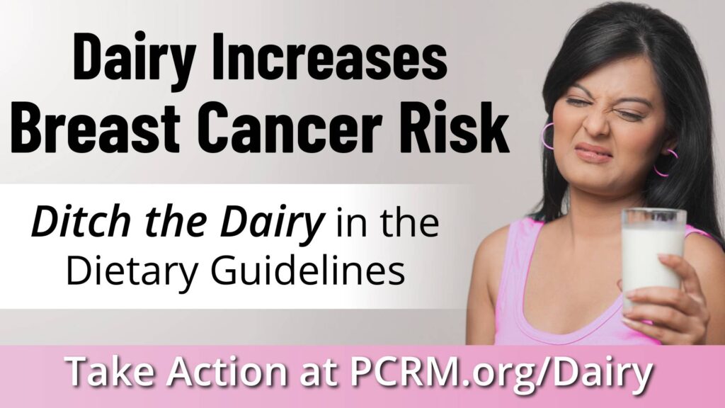 Dairy increases breast cancer risk