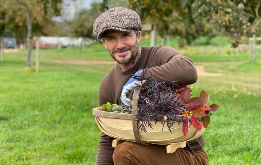 David Beckham vegan