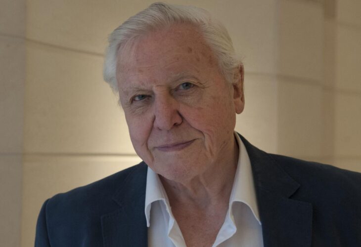 David Attenborough Says The World Eats Too Much Meat - So Is He Vegan?