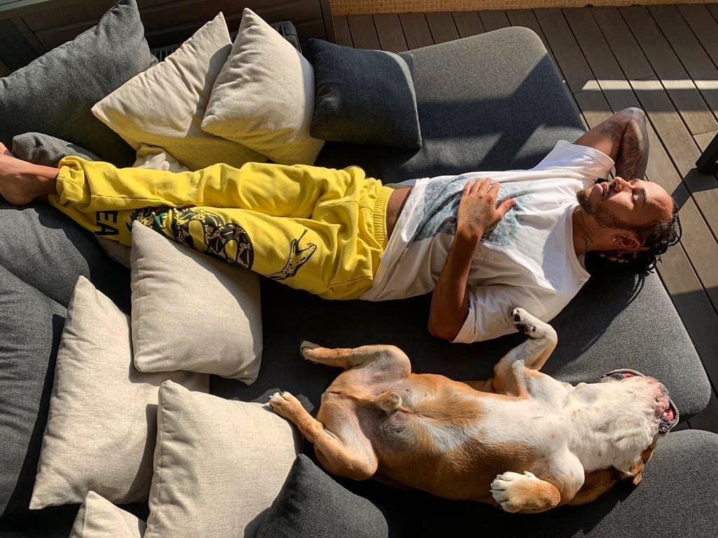 Lewis Hamilton and his vegan dog Roscoe