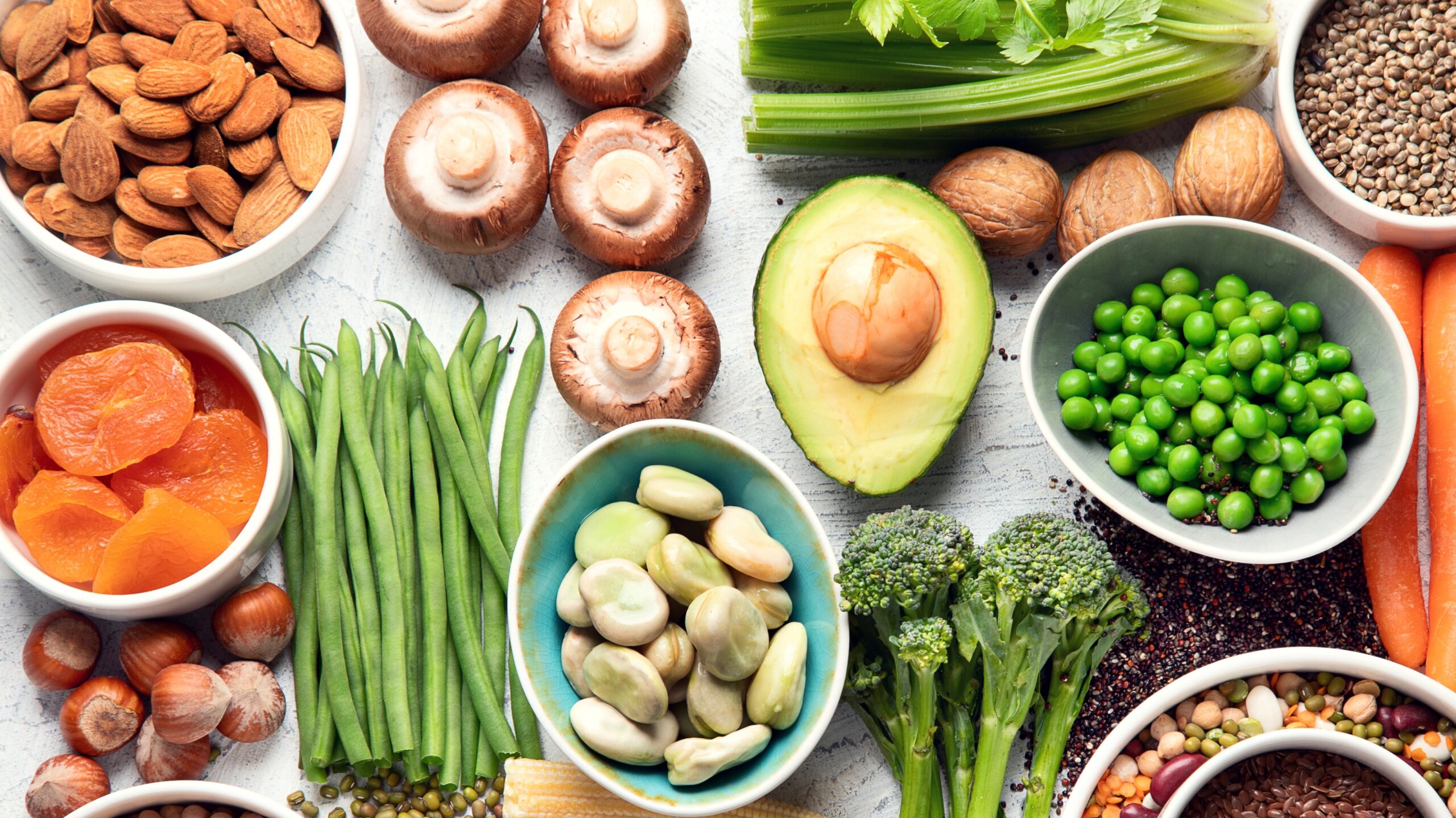 Plant based foods high in protein