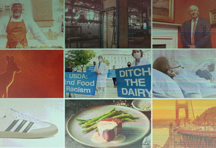 Vegan 2020 photo highlights