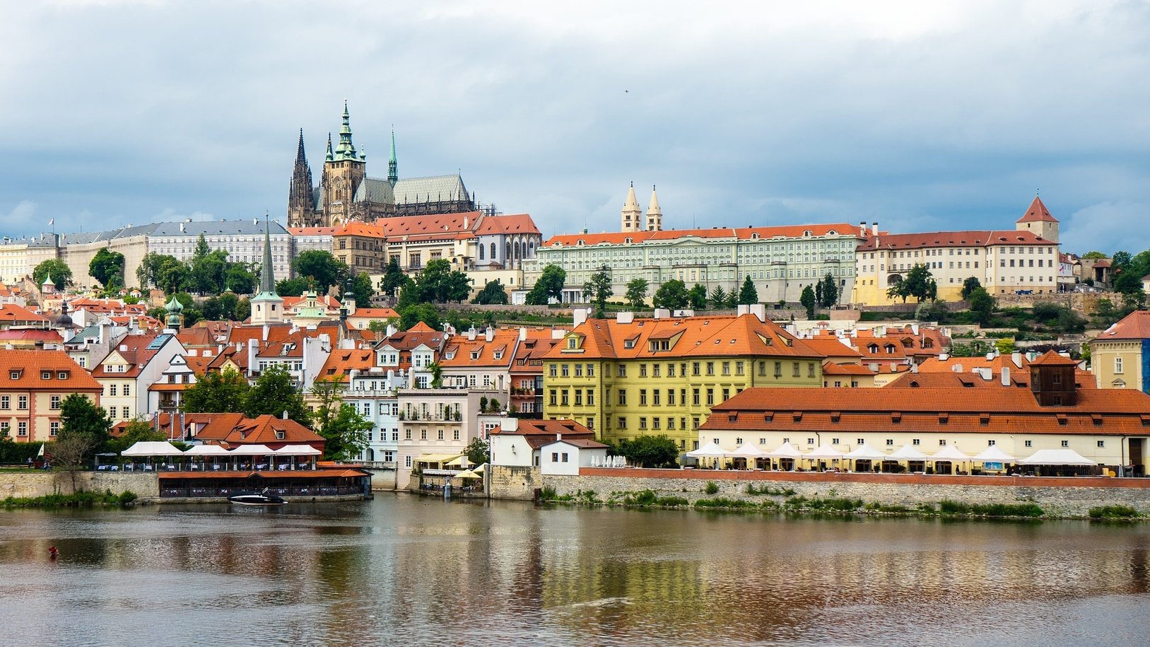 Study shows more people favoring a plant-based diet in The Czech Republic