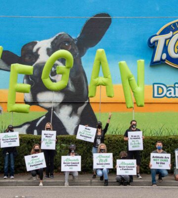 PETA supporters take to US dairy plant to encourage people to go vegan: rebranding the community the 'Almond Milk District'
