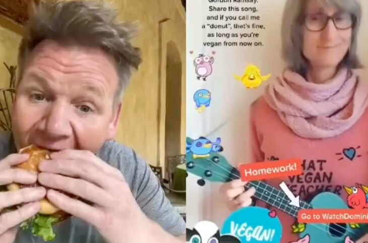 Gordon Ramsay responds to viral TikTok posted by That Vegan Teacher by eating a burger and calling her a 'vegan donut'