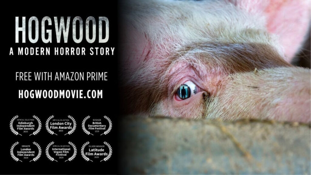 hogwood documentary