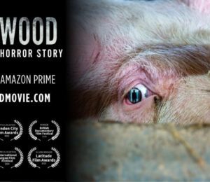 hogwood documentary