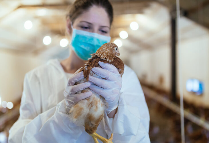 Russia Confirms First-Ever Case Of H5N8 Bird Flu Strain Being Passed To Humans