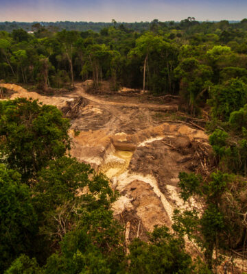 Deforestation in the Amazon Rainforest, which has been linked to alter the landscape's climate, and global warming