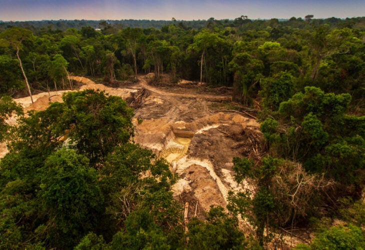 Deforestation in the Amazon Rainforest, which has been linked to alter the landscape's climate, and global warming