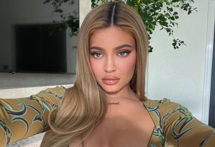 Kylie Jenner Tells 223 Million Followers She's 'Really Trying To Not Eat Meat'
