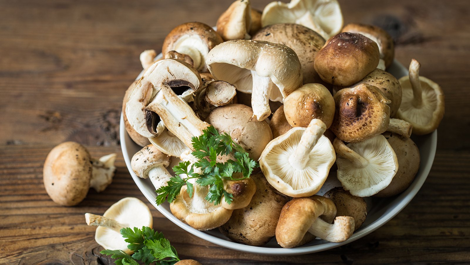 Mushrooms: Vitamin-D, Nutrition, And How To Cook Them