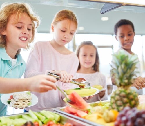 Nationwide Campaign Calls On UK Councils To Create 'Plant-Based Schools'