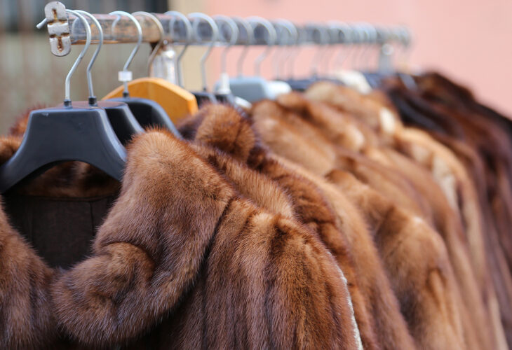 Designers Including Stella McCartney And Vivienne Westwood Urge UK Prime Minister To Ban Fur Sales