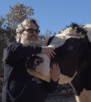 Joaquin Phoenix revisits the cows he rescued from slaughter last year in a short documentary, INDIGO