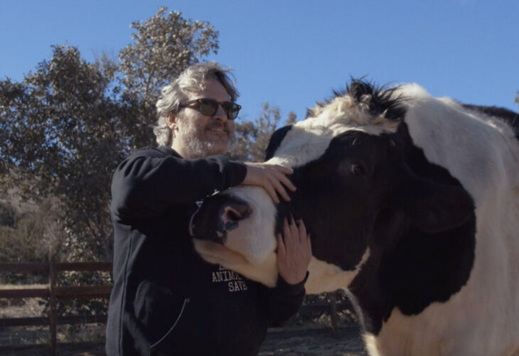 Joaquin Phoenix revisits the cows he rescued from slaughter last year in a short documentary, INDIGO