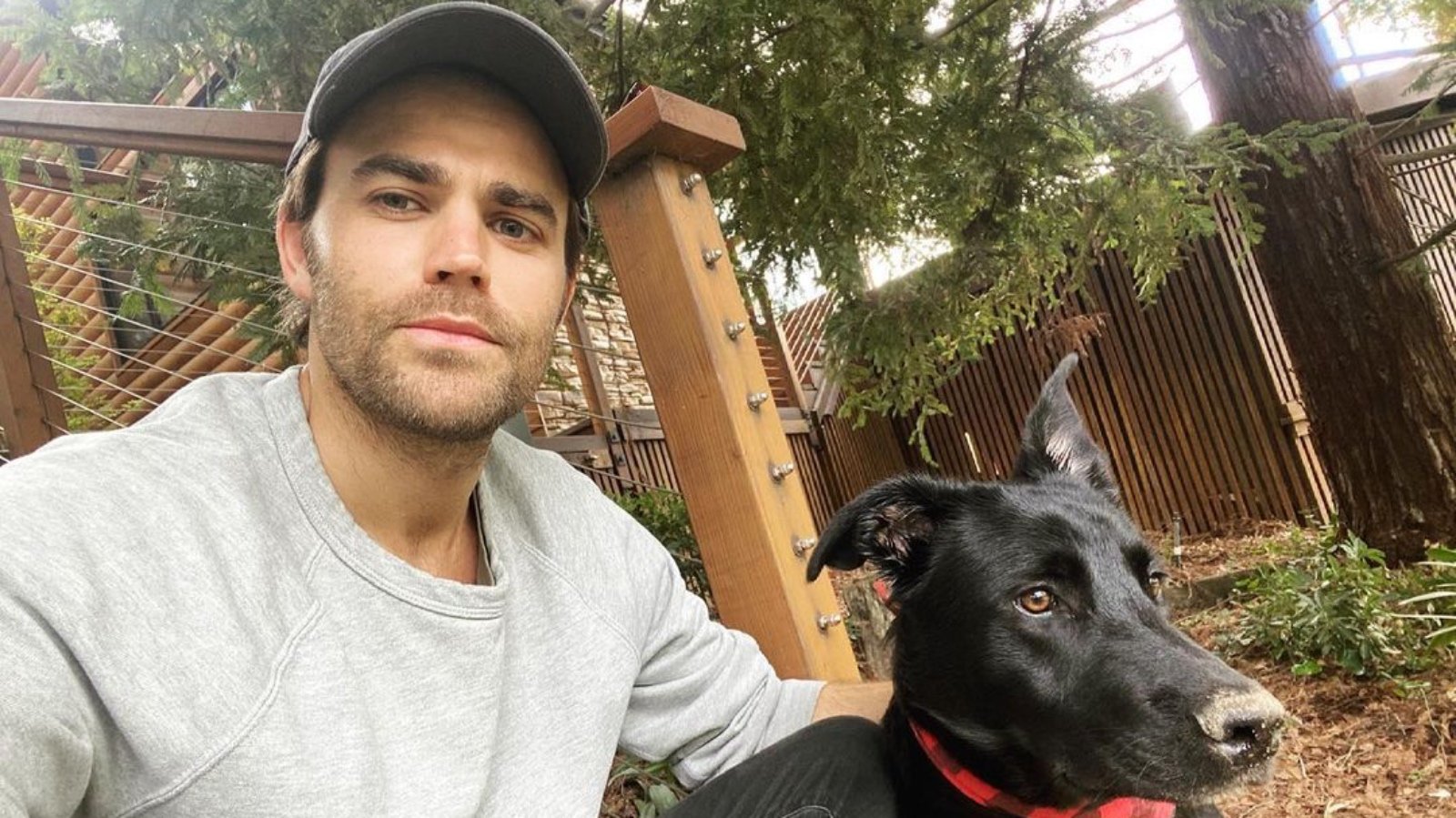 Paul Wesley Urges 10.9 Million Fans To Cut Down On Animal Products