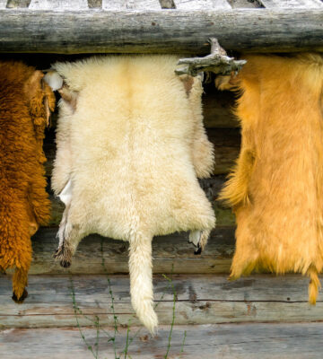 A bill seeking to end fur trade in Britain had its first hearing in parliament today