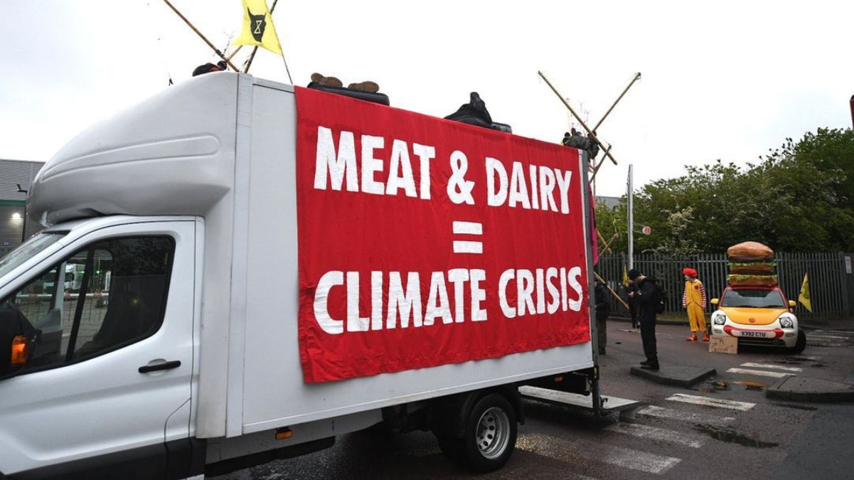 Animal Rebellion shut down McDonald's distribution centers, and some protestors have been arrested - but not without the chain reporting food shortages