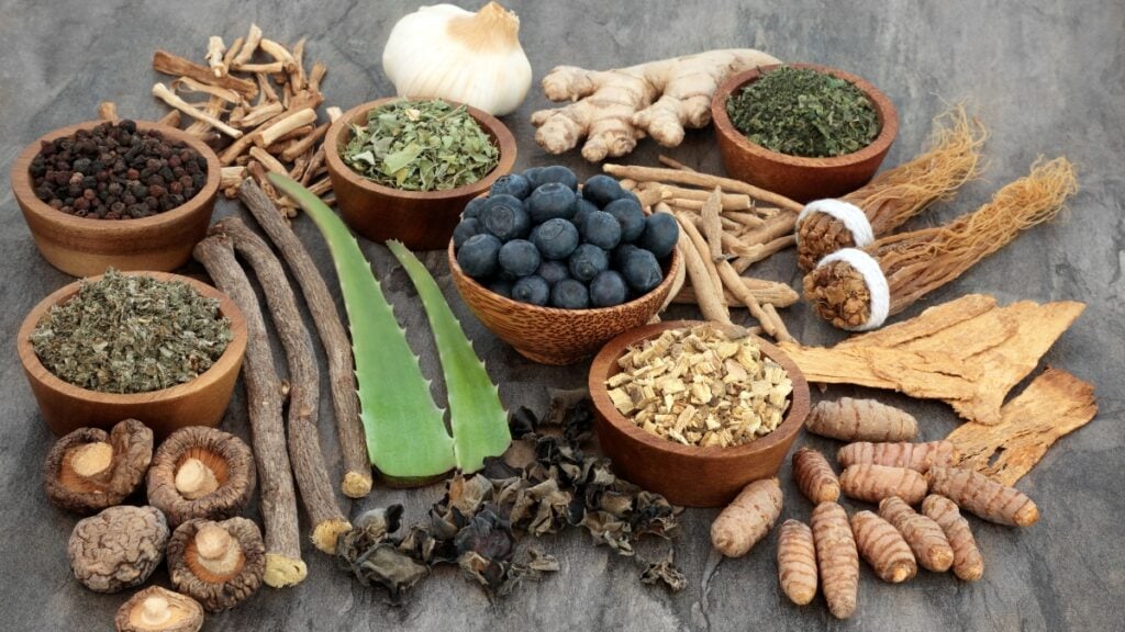 Vegan adaptogens