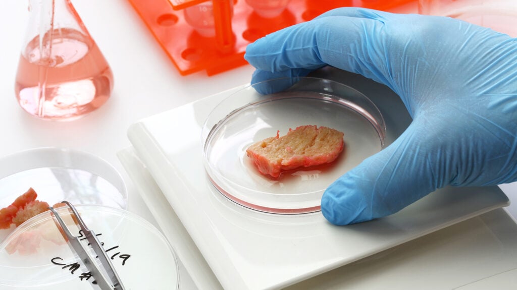 Cell-Cultured Meat Could Hit Grocery Stores In Next 5 Years, Predicts Expert