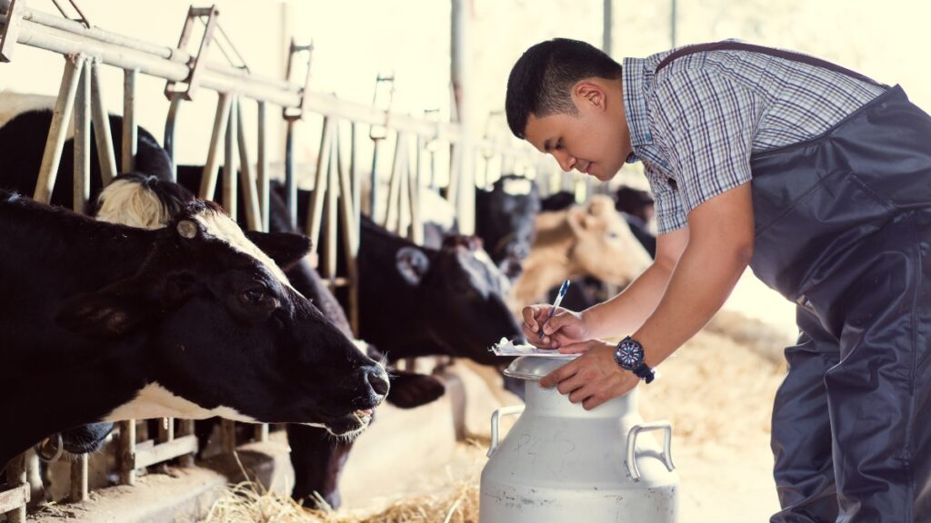 After a dairy farm worker died in a waste pit, calls have been made for better workers' rights