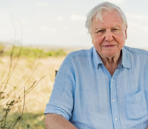 Sir David Attenborough features in new Netflix film, Breaking Boundaries