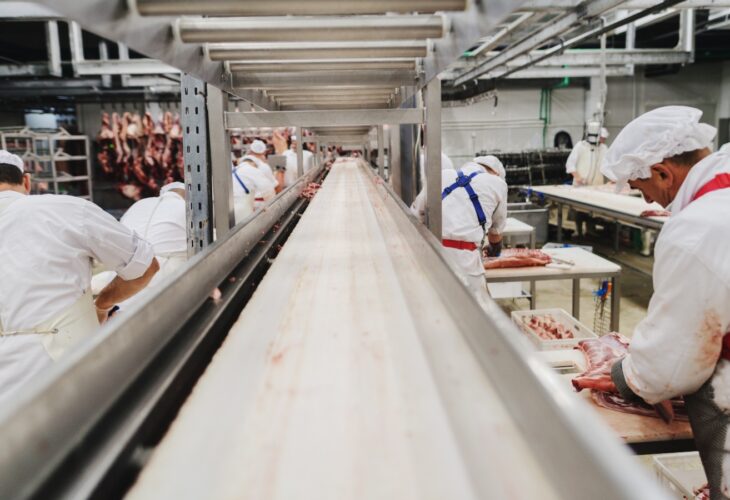 Germany Sees Meat Production Drop As Plant-Based Alternatives Soar