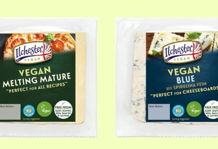 Cheese brand Ilchester is launching two new vegan products under the Norseland portfolio