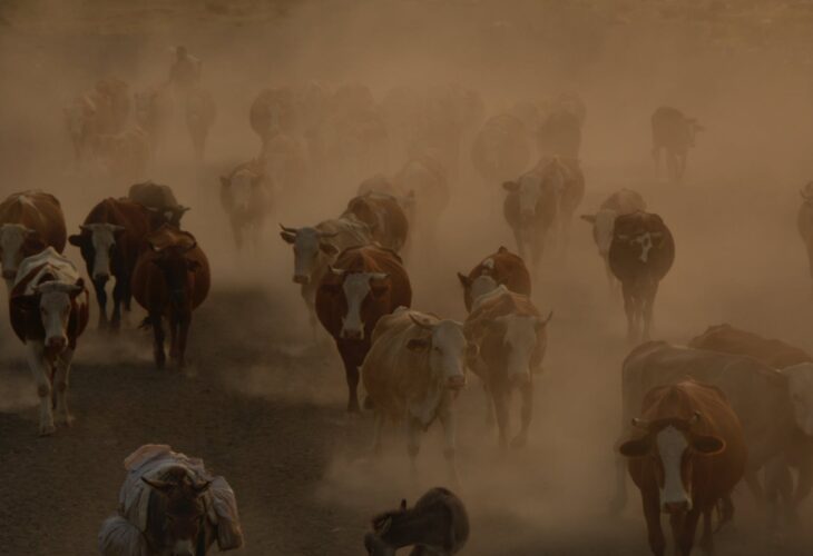 CNN Segment Alleges ‘Meat Is Making the Planet Sick’