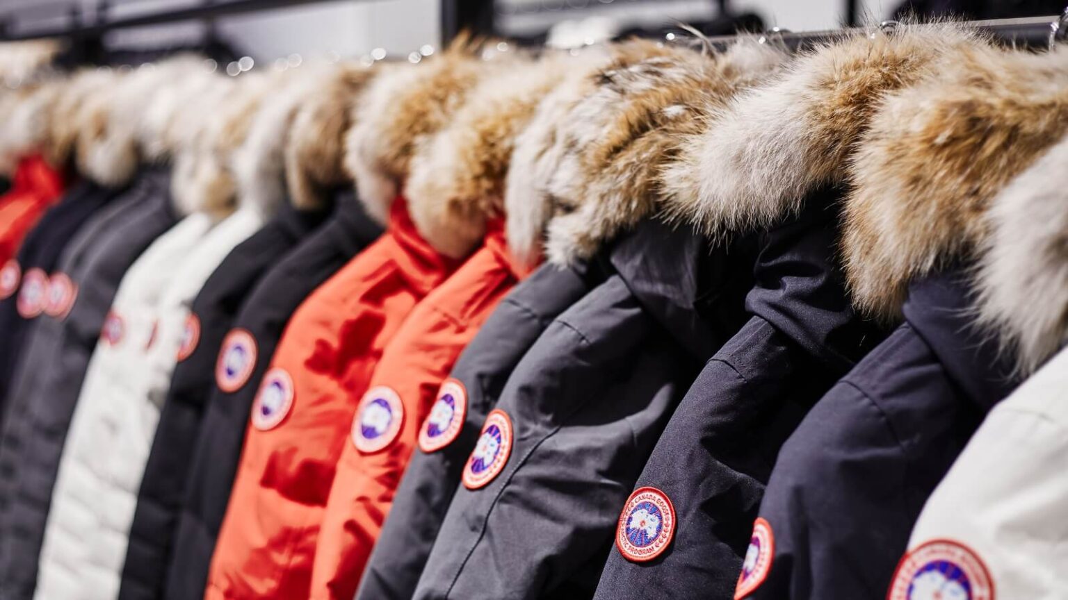 Canada Goose Pledges To Stop Buying And Using Fur - Plant Based News