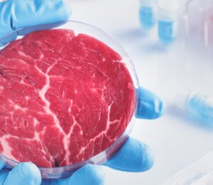 Scientist holds cell-cultured meat