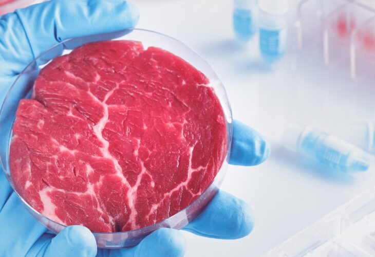 Scientist holds cell-cultured meat