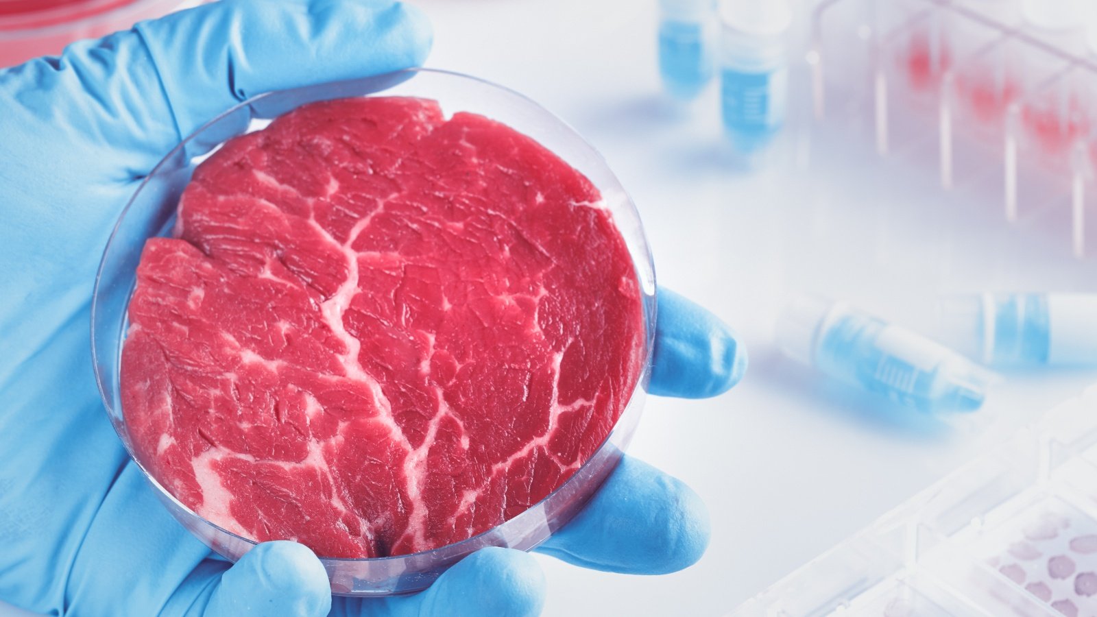 Scientist holds cell-cultured meat