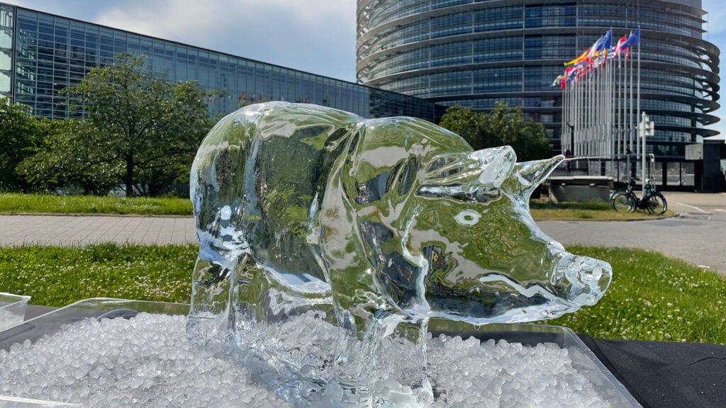 Animal Ice Sculptures Left Melting Outside European Parliament To Link Animal Ag And Climate Crisis