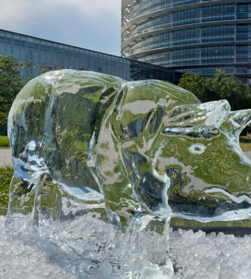 Animal Ice Sculptures Left Melting Outside European Parliament To Link Animal Ag And Climate Crisis