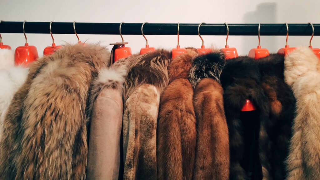 Israel Becomes World's First Country To Ban Fur Sales