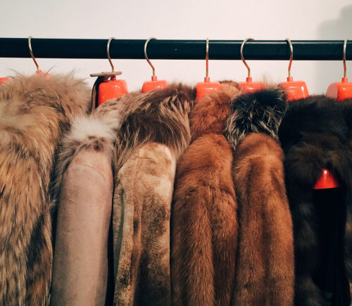 Israel Becomes World's First Country To Ban Fur Sales