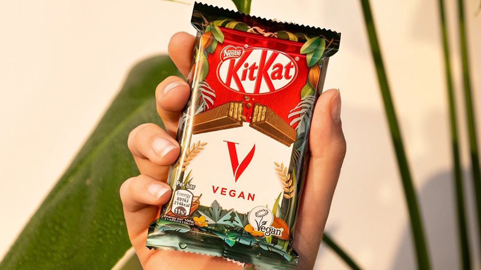 Nestlé Divides Opinions As Vegan KitKat Eyes Global Expansion